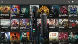 Roku Fire Stick