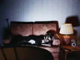 watch tv movies 2